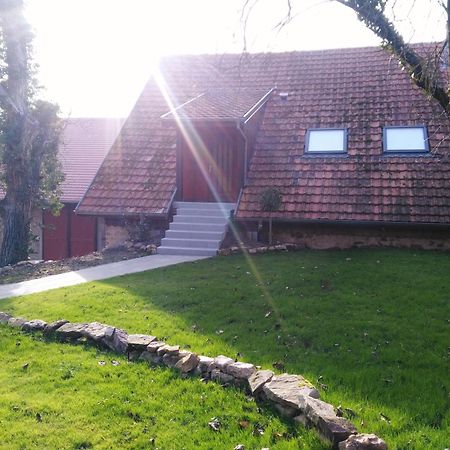 Joli Gite F2 Independant Avec Jardin Prive Rouffach Exterior photo