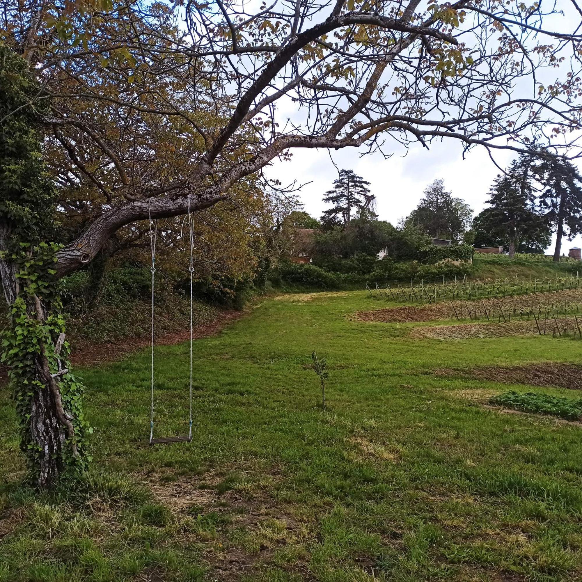 Joli Gite F2 Independant Avec Jardin Prive Rouffach Exterior photo