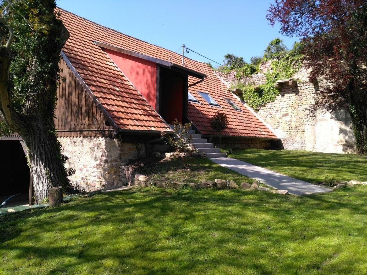 Joli Gite F2 Independant Avec Jardin Prive Rouffach Exterior photo